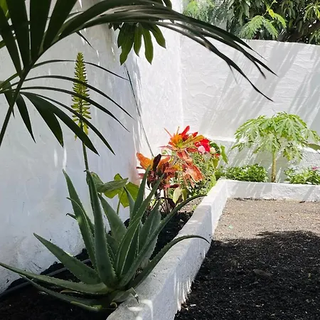 Jardin De La Suerte *