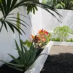 Jardin De La Suerte *